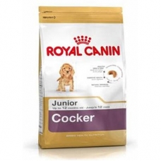Royal Canin kutsikatoit cockerspanjelile, 6 kg